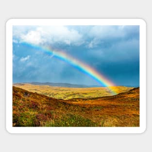 An Irish Rainbow Sticker